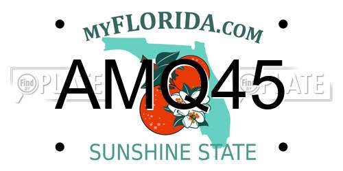 AMQ45 Florida License Plate