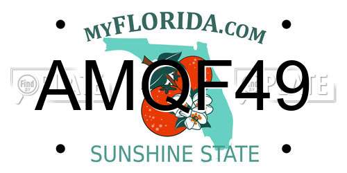 AMQF49 Florida License Plate