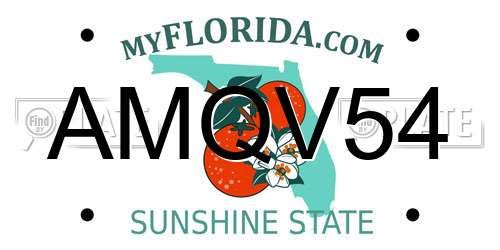 AMQV54 Florida License Plate