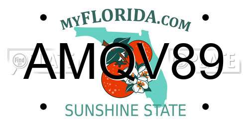 AMQV89 Florida License Plate
