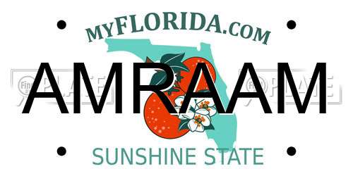 AMRAAM Florida License Plate