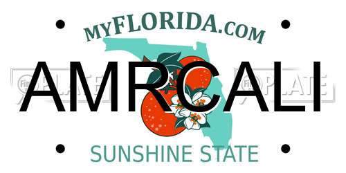 AMRCALI Florida License Plate