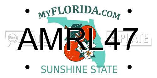 AMRL47 Florida License Plate