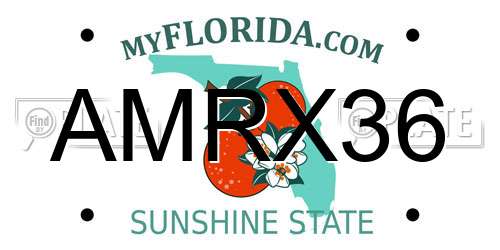 AMRX36 Florida License Plate