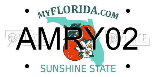 AMRY02 Florida License Plate