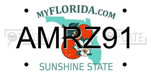 AMRZ91 Florida License Plate
