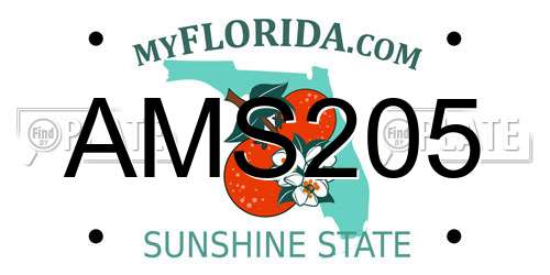 AMS205 Florida License Plate