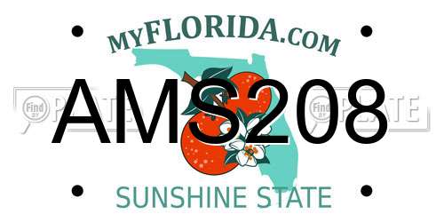 AMS208 Florida License Plate