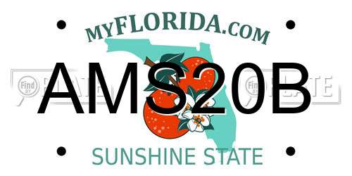 AMS20B Florida License Plate