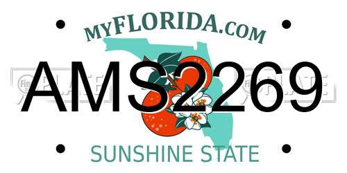 AMS2269 Florida License Plate