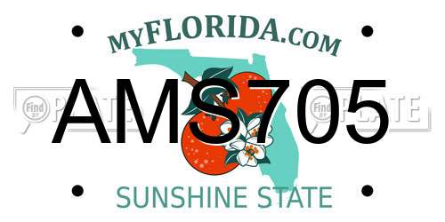 AMS705 Florida License Plate