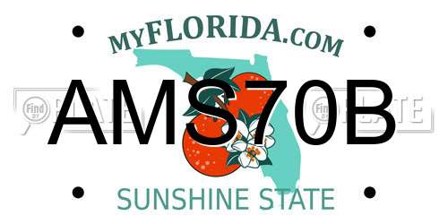 AMS70B Florida License Plate