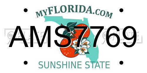 AMS7769 Florida License Plate