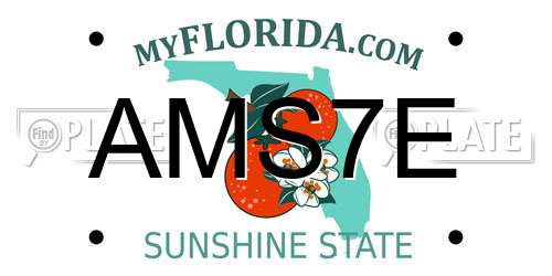 AMS7E Florida License Plate