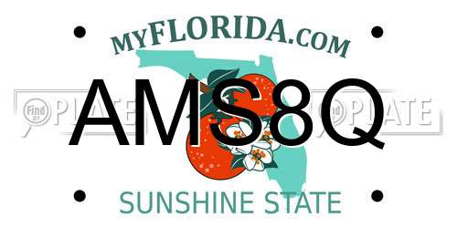 AMS8Q Florida License Plate