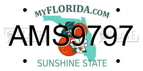 AMS9797 Florida License Plate
