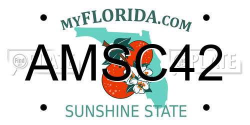 AMSC42 Florida License Plate