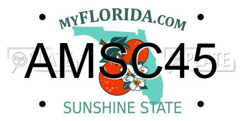 AMSC45 Florida License Plate