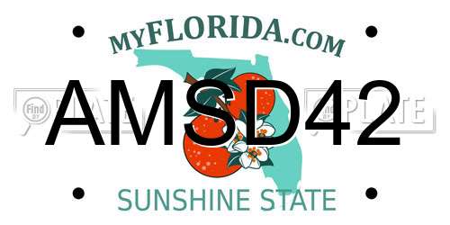 AMSD42 Florida License Plate