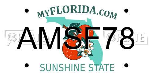 AMSF78 Florida License Plate