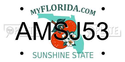AMSJ53 Florida License Plate