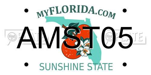 AMST05 Florida License Plate