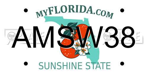 AMSW38 Florida License Plate