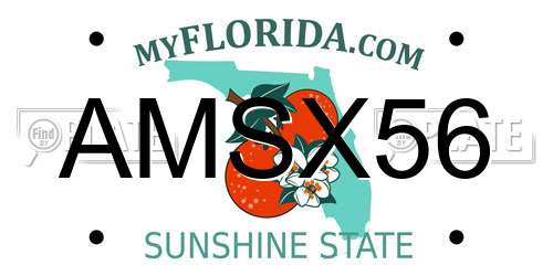 AMSX56 Florida License Plate