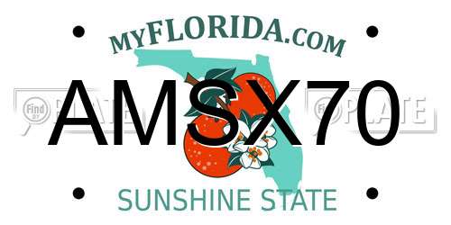 AMSX70 Florida License Plate