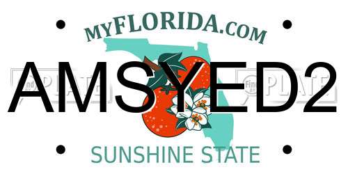 AMSYED2 Florida License Plate