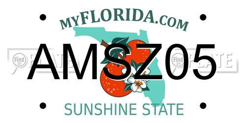 AMSZ05 Florida License Plate