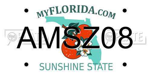 AMSZ08 Florida License Plate