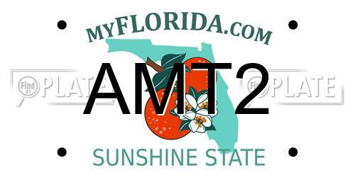 AMT2 Florida License Plate