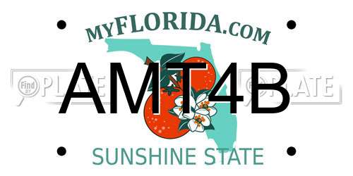 AMT4B Florida License Plate