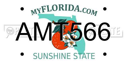 AMT566 Florida License Plate