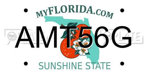 AMT56G Florida License Plate