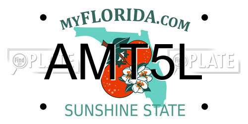 AMT5L Florida License Plate