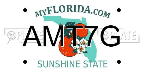 AMT7G Florida License Plate