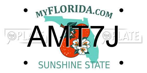 AMT7J Florida License Plate