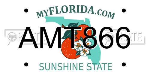 AMT866 Florida License Plate