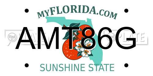 AMT86G Florida License Plate