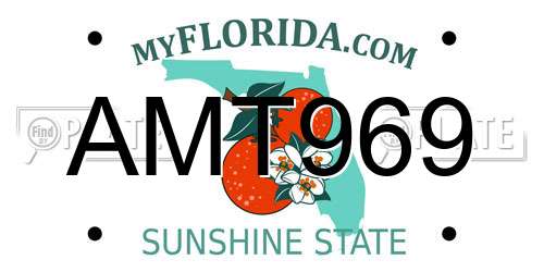 AMT969 Florida License Plate