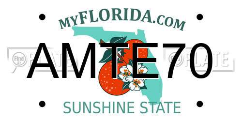 AMTE70 Florida License Plate
