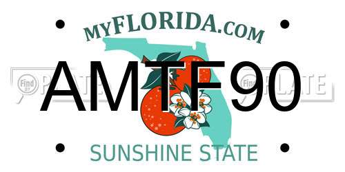 AMTF90 Florida License Plate