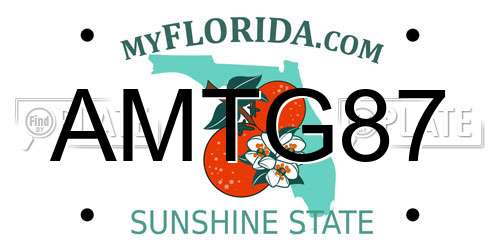 AMTG87 Florida License Plate
