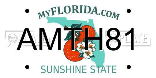 AMTH81 Florida License Plate