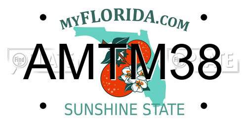 AMTM38 Florida License Plate