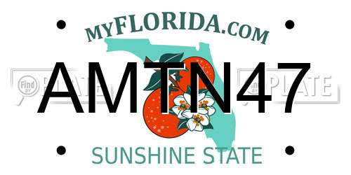 AMTN47 Florida License Plate