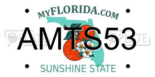 AMTS53 Florida License Plate