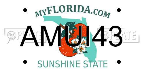 AMUI43 Florida License Plate